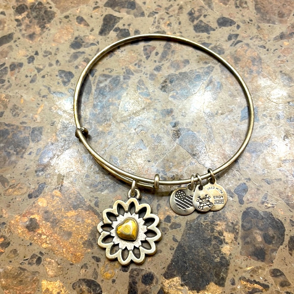 Alex and Ani two toned silver and gold bracelet
